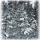 Rikket : ...Of Winter Calm